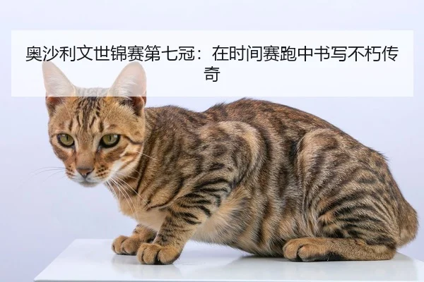 奥沙利文世锦赛第七冠：在时间赛跑中书写不朽传奇