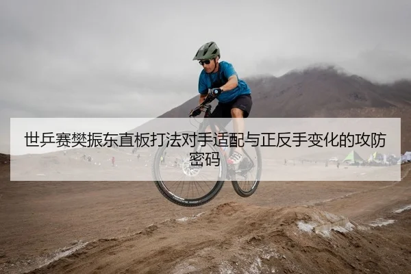 世乒赛樊振东直板打法对手适配与正反手变化的攻防密码
